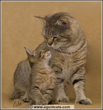 Sniper gives his son final instructions. "Make Dad proud, Son."